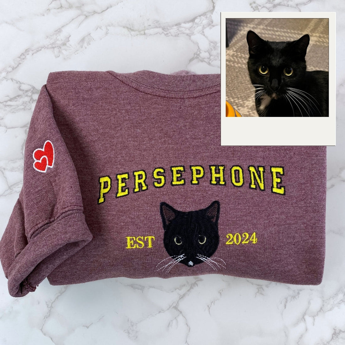 Custom Cat Portrait Embroidered Varsity Hoodie - Personalized Pet Name Embroidery - Cat Mom Gift