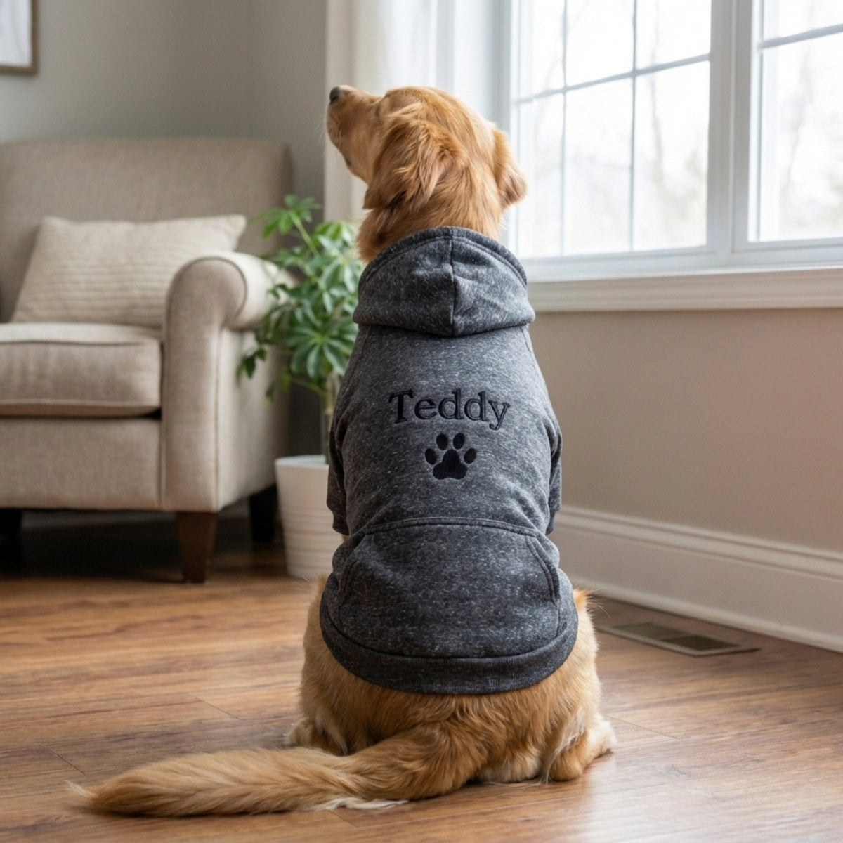 Dog Name Custom Embroidered Hoodie - Personalized Pet Apparel, Sports Hoodie