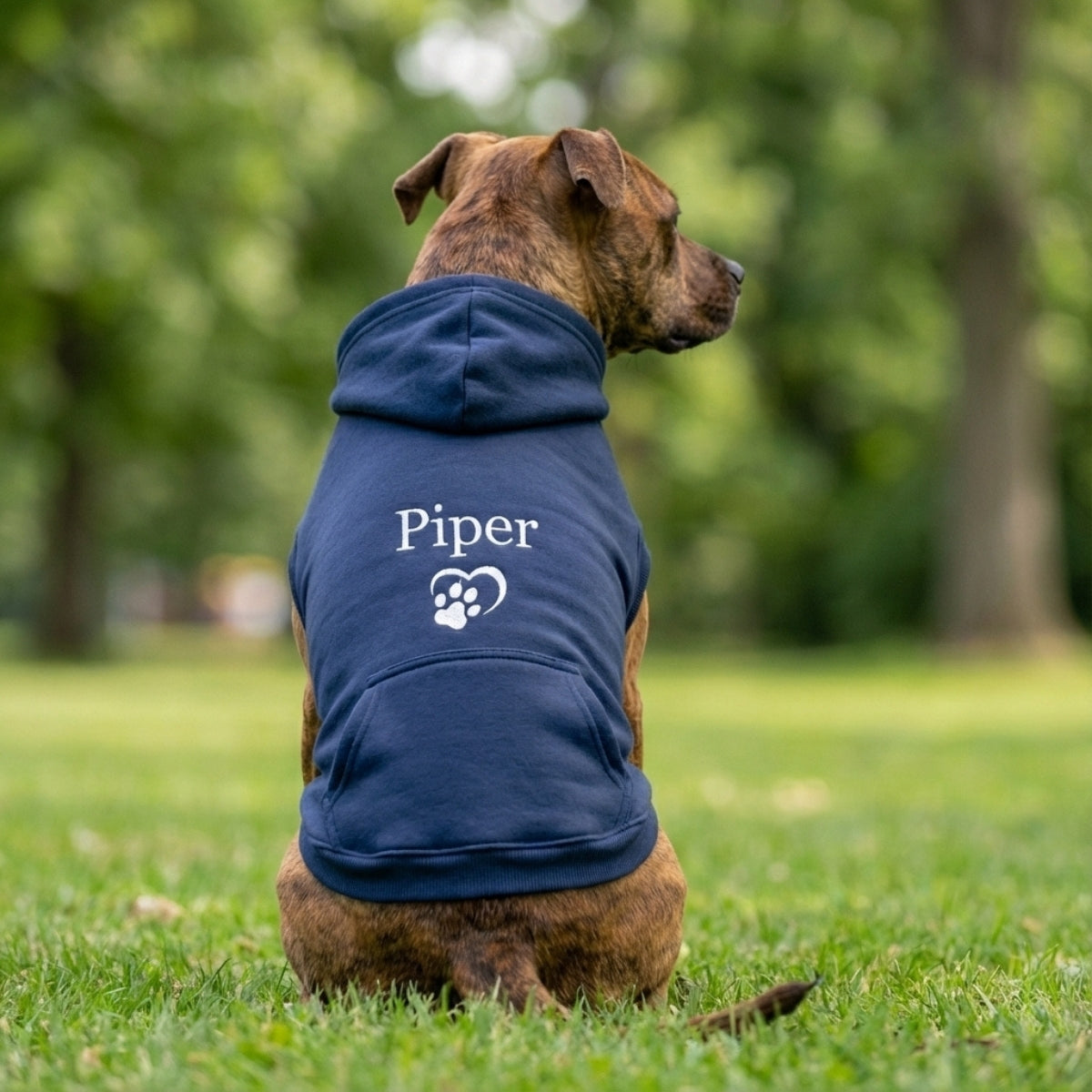 Dog Name Custom Embroidered Hoodie - Personalized Pet Apparel, Sports Hoodie