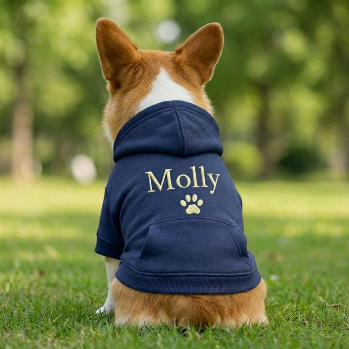Dog Name Custom Embroidered Hoodie - Personalized Pet Apparel, Gift for Dog Owners