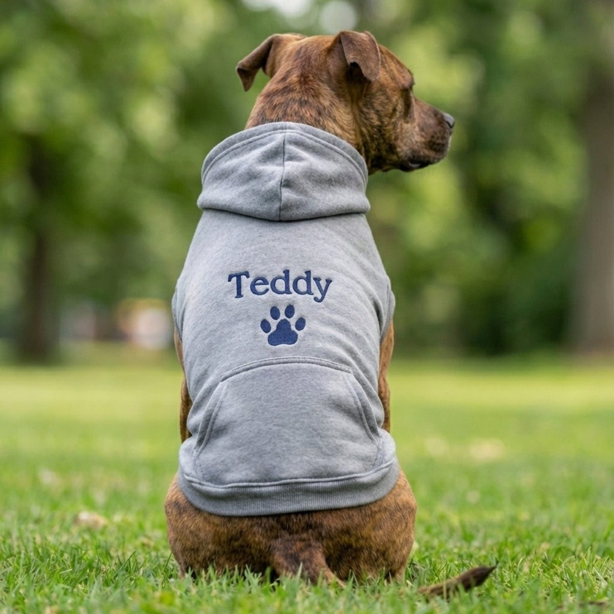 Dog Name Custom Embroidered Hoodie - Personalized Pet Apparel, Gift for Dog Owners