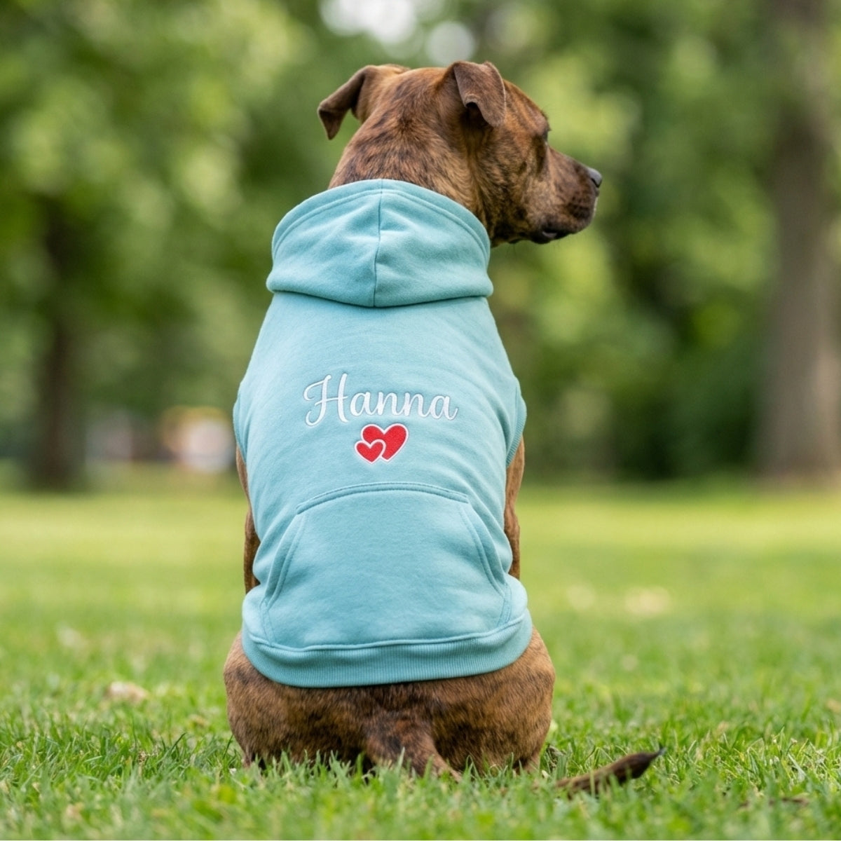 Dog Name Custom Embroidered Hoodie - Personalized Pet Apparel, Gift for Dog Owners