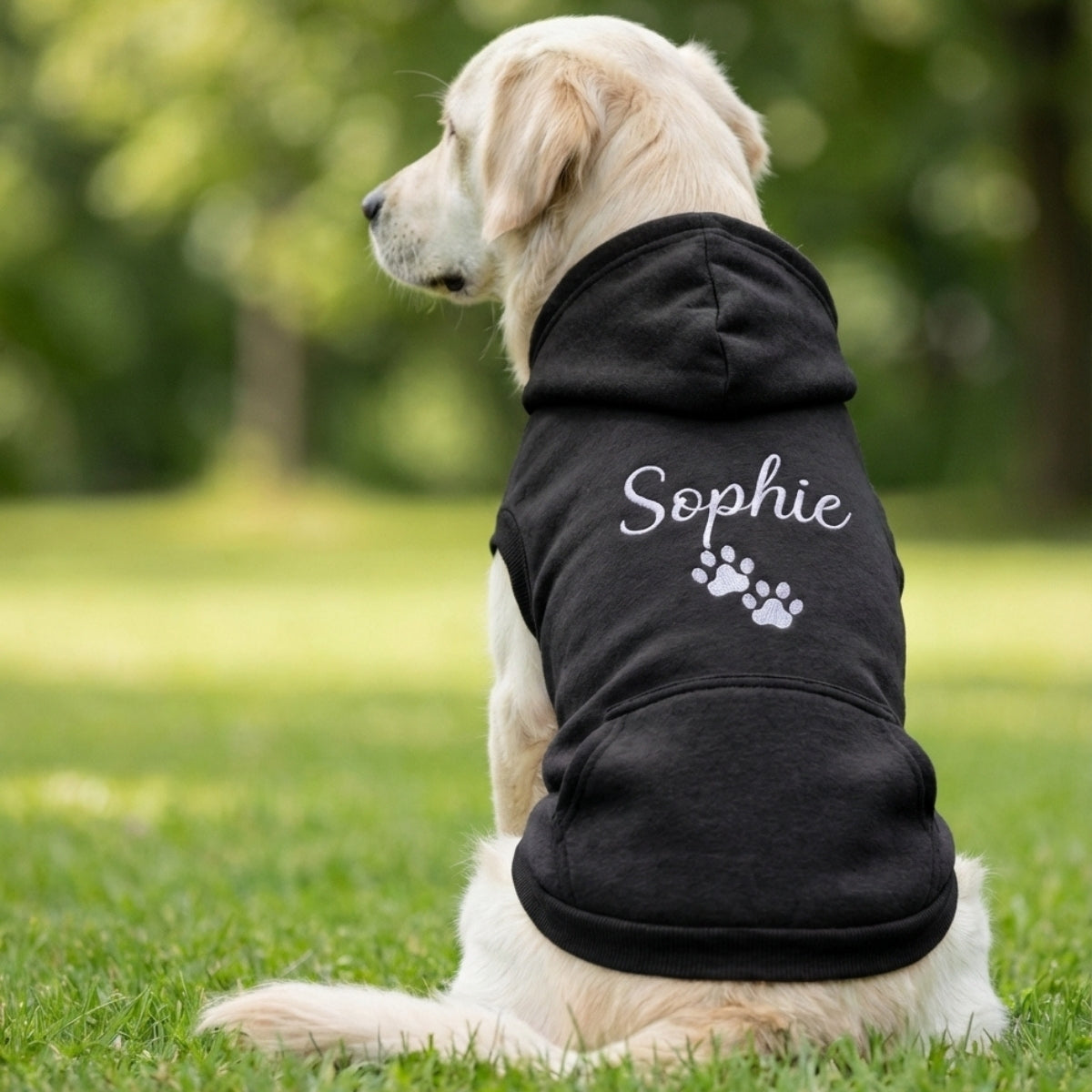 Dog Name Custom Embroidered Hoodie - Personalized Pet Apparel, Gift for Dog Owners