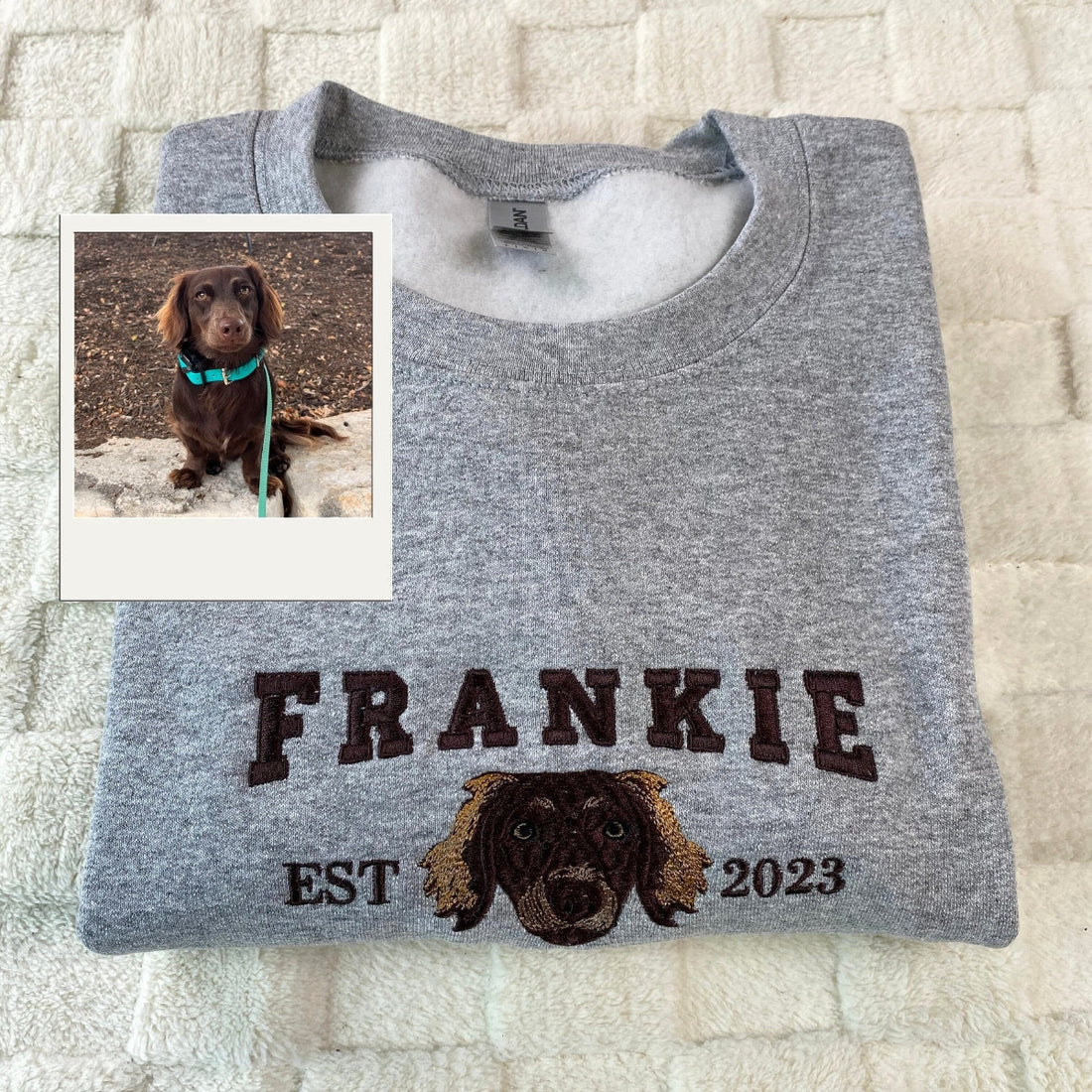 Custom Pet Memorial Embroidered Hoodie - Dog Portrait Varsity Style - Personalized Dog Lover Gift