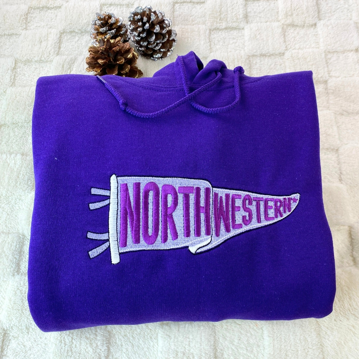 College Pennant Custom Embroidered Hoodie - Personalized Alumni Gift Sweatshirt