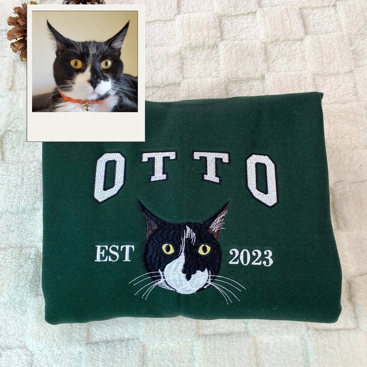 Custom Cat Portrait Varsity Hoodies - Personalized Pet Name Embroidery Sweatshirts - Cat Parent Gift