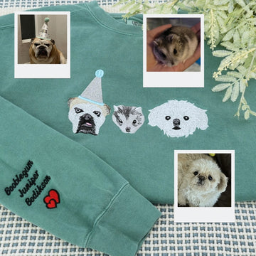 Custom Holiday Pet Portrait Hoodies - Multi Pet Party Hat Embroidered Sweatshirts - Festive Pet Family Gift with Names - Christmas Pet Apparel