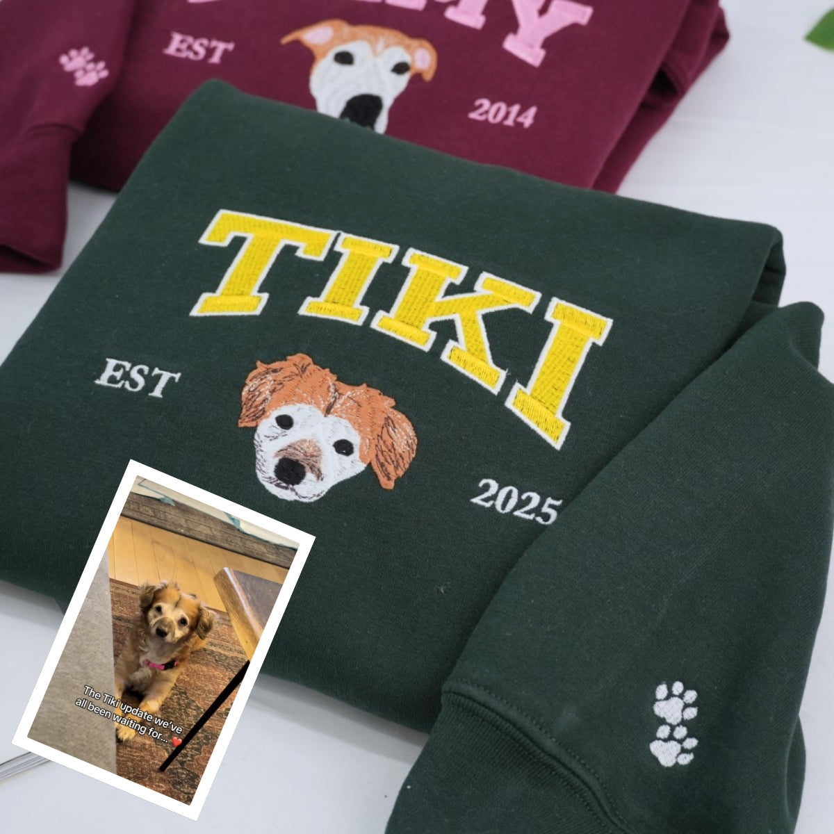 Custom Pet Portrait Hoodies - Varsity Style Dog Cat Face Embroidered Sweatshirts with Names - Premium Pet Lover Gift