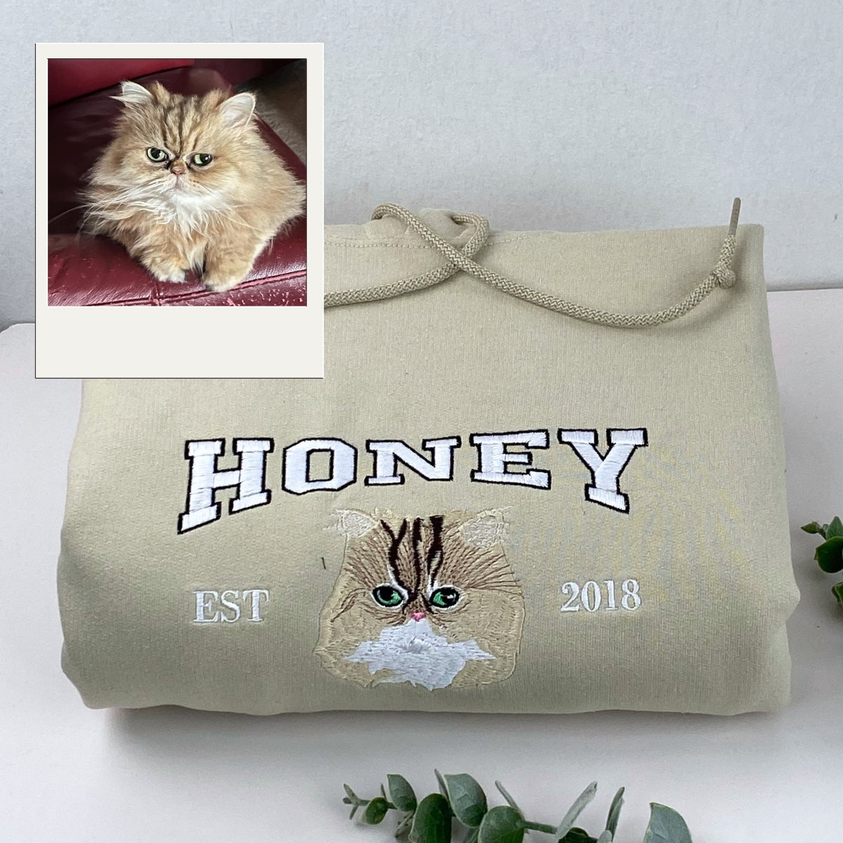 Pet Portrait Varsity Hoodies - Custom Cat Face Embroidery with Name - Collegiate Cat Lover Apparel
