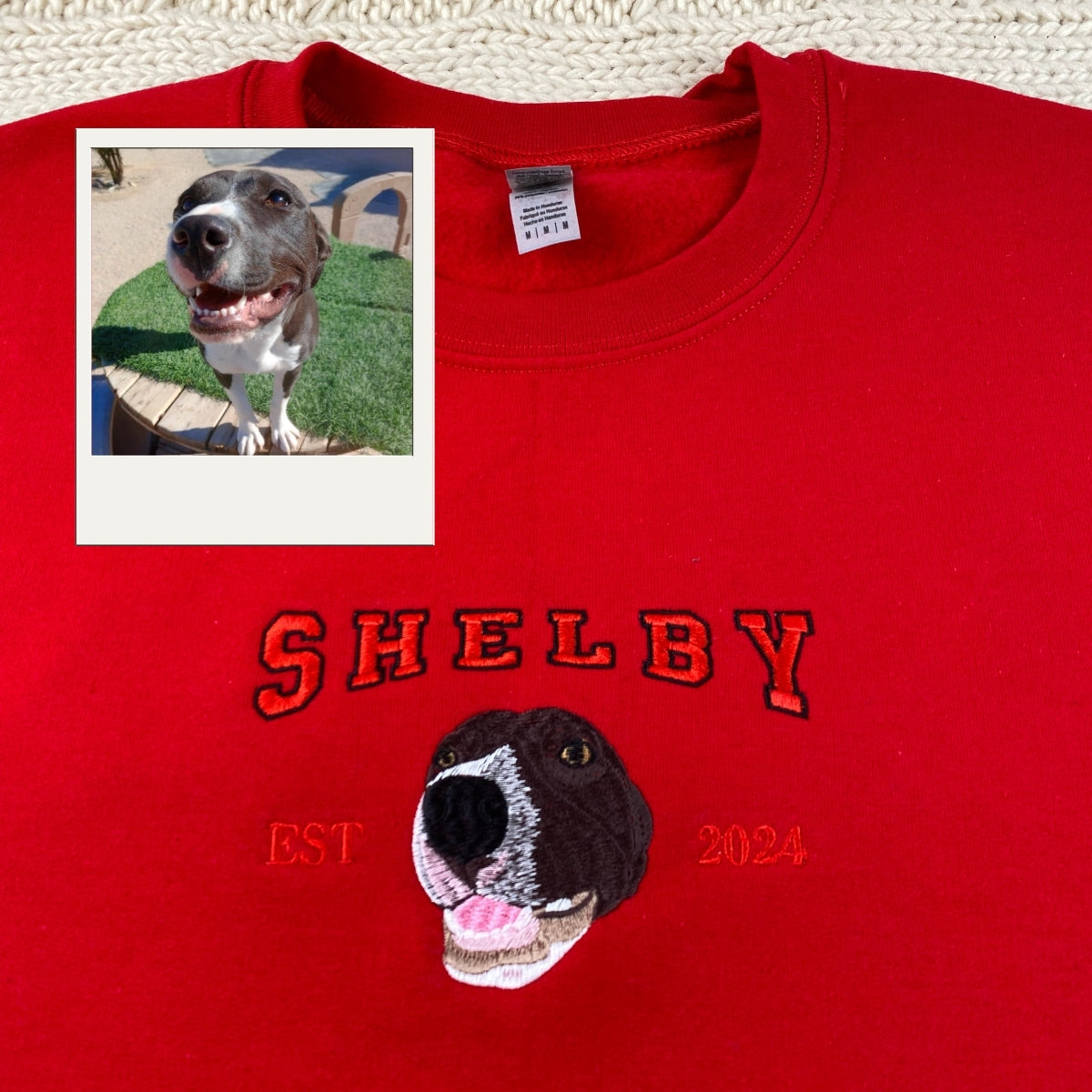 Custom Dog Portrait Embroidered Hoodie - College Style Pet Sweatshirt - Personalized Pet Parent Appa