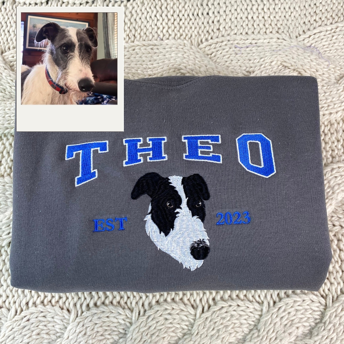 Varsity Pet Portrait Hoodies - Custom Dog Face Embroidered Sweatshirts - Pet Lover Gifts for Dog Moms & Dads